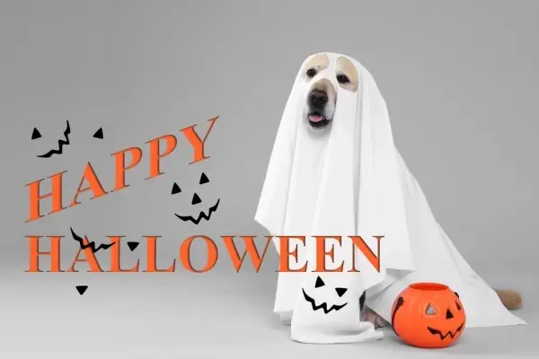 Happy Halloween from Western Mortgage